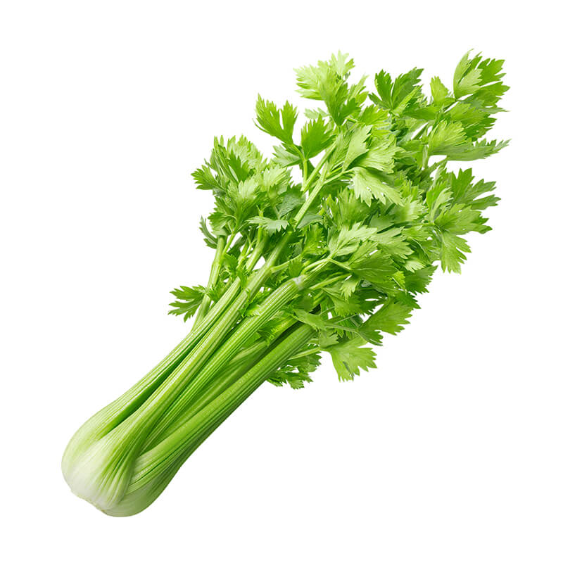 Celery