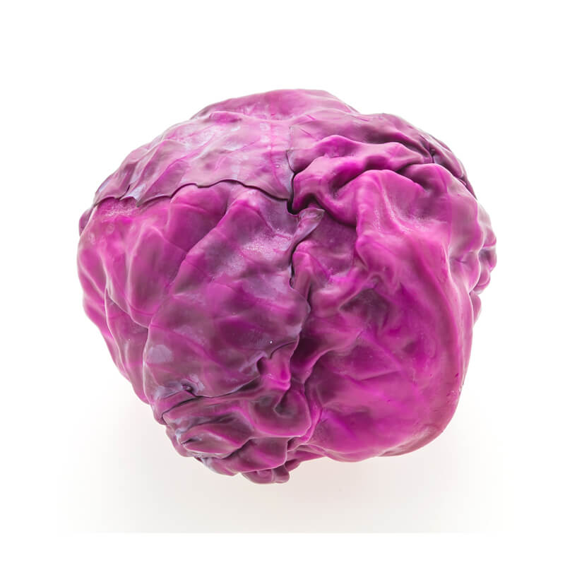 Red Cabbage