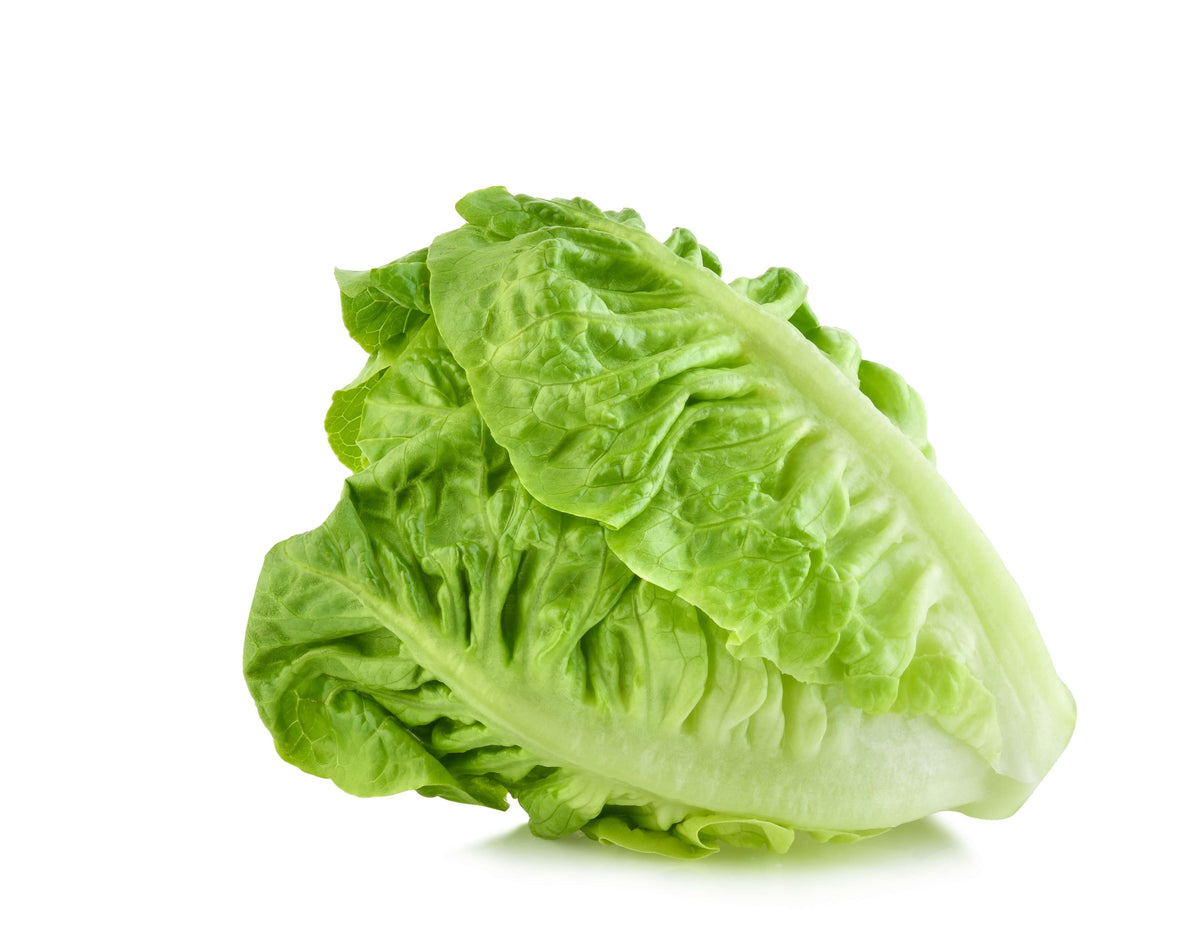 Romaine Lettuce